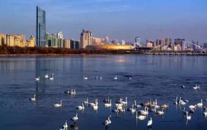 三門峽又一網(wǎng)紅景點，確定不來pick一下？