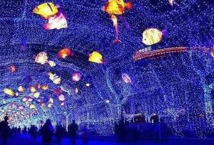 【三門峽國際光影藝術(shù)節(jié)】家門口的雜技表演和燈光秀，精彩不容錯過！